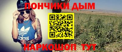 индика Краснодар