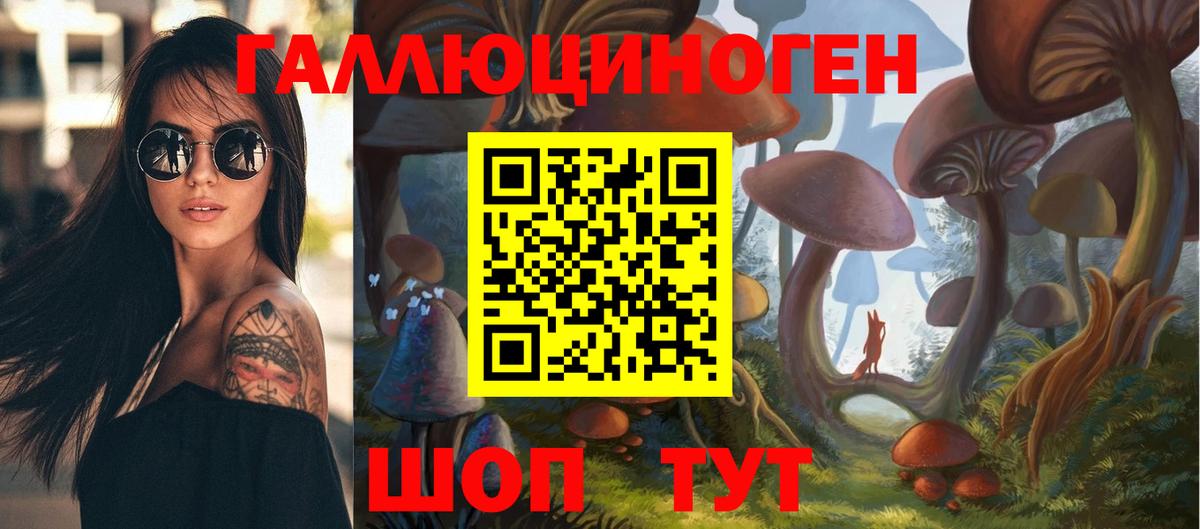 Галлюциногенные грибы Psilocybine cubensis  Вход с VPN  что такое   Кунгур 